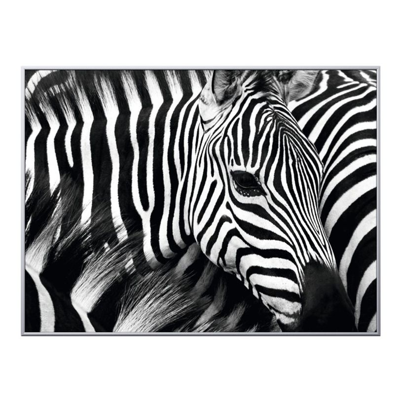 3660141890839-Cadre de décoration plexi/alu - 61 x 81 cm - Zèbre-P_79421609_1-0
