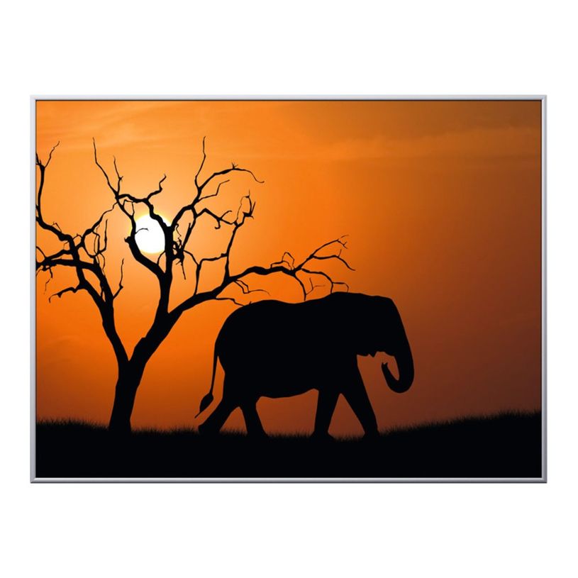3660141890846-Cadre de décoration plexi/alu - 61 x 81 cm - Elephant-P_79421610_1-0