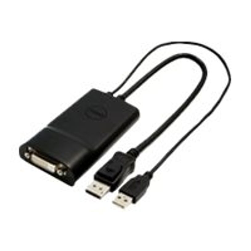 5397063812233-Dell DisplayPort to DVI Dual-Link Adapter - convertisseur vidéo-P_79422872_1-0