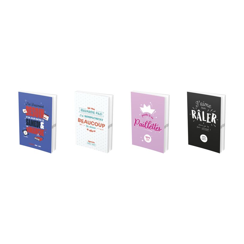 3147280102295-Agenda Scolaire ICONE - 12x17cm - 4 décors - Hamelin--0