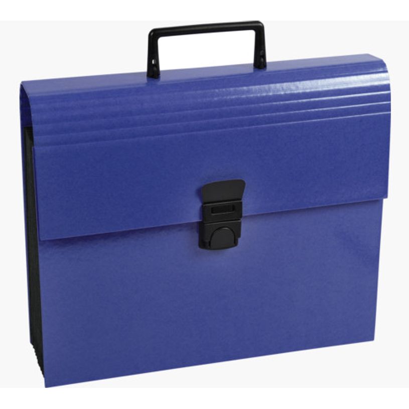 3130630556305-Exacompta Iderama - Classeur ménager (valisette trieur) 12 onglets - disponible dans diff