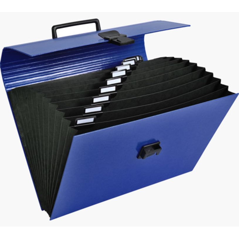 3130630556305-Exacompta Iderama - Classeur ménager (valisette trieur) 12 onglets - disponible dans diff