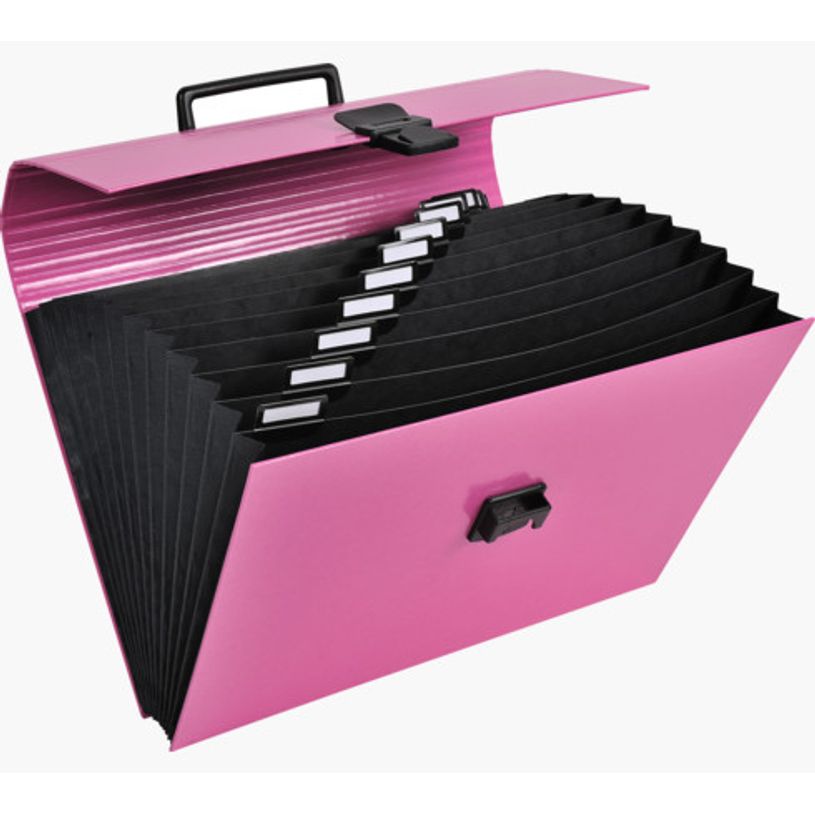 3130630556305-Exacompta Iderama - Classeur ménager (valisette trieur) 12 onglets - disponible dans diff