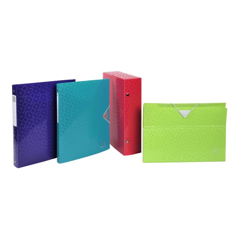 3130630585206-Exacompta OffiX - Trieur pochette 6 positions - disponible dans différentes couleurs-P_79428195_7-4