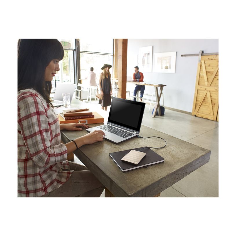 7636490076916-Seagate Backup Plus Ultra Slim STEH1000201 - disque dur - 1 To - USB 3.0-P_79428465_3-2