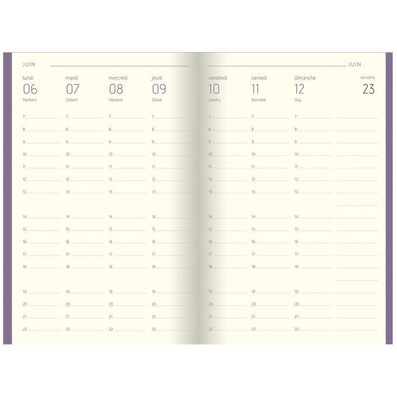 3664447104454-Agenda Colornote - 1 semaine sur 2 pages - 10 x 15 cm - disponible dans différentes couleu-P_79429125_6-5
