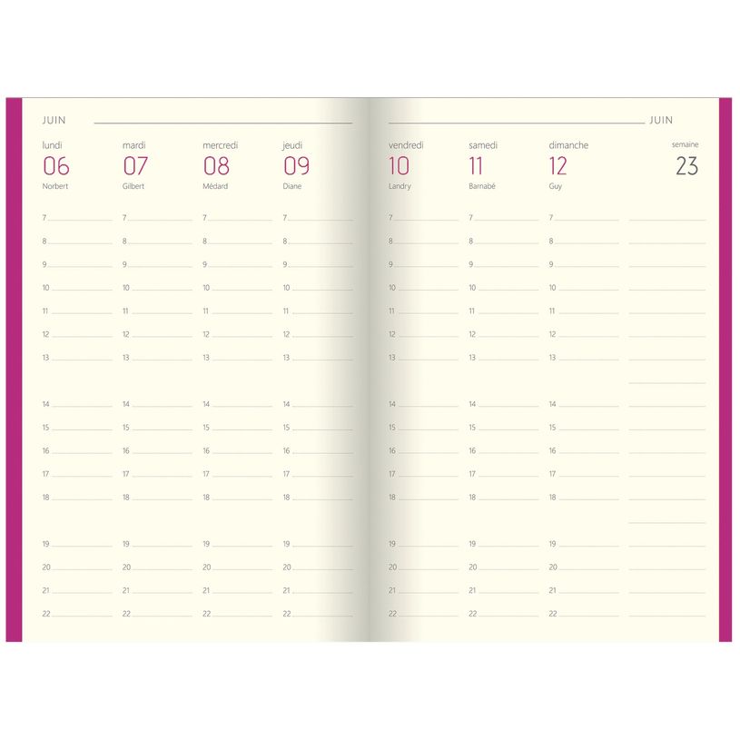 3664447104454-Agenda Colornote - 1 semaine sur 2 pages - 10 x 15 cm - disponible dans différentes couleu-P_79429125_7-6