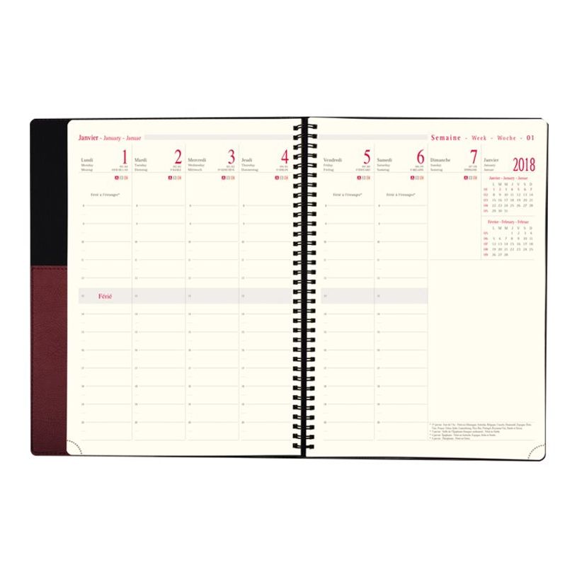 3664447060606-Torino - Agenda spiralé 1 semaine sur 2 pages - 22 x 30,7 cm - disponible dans différente-P_79429191_2-6