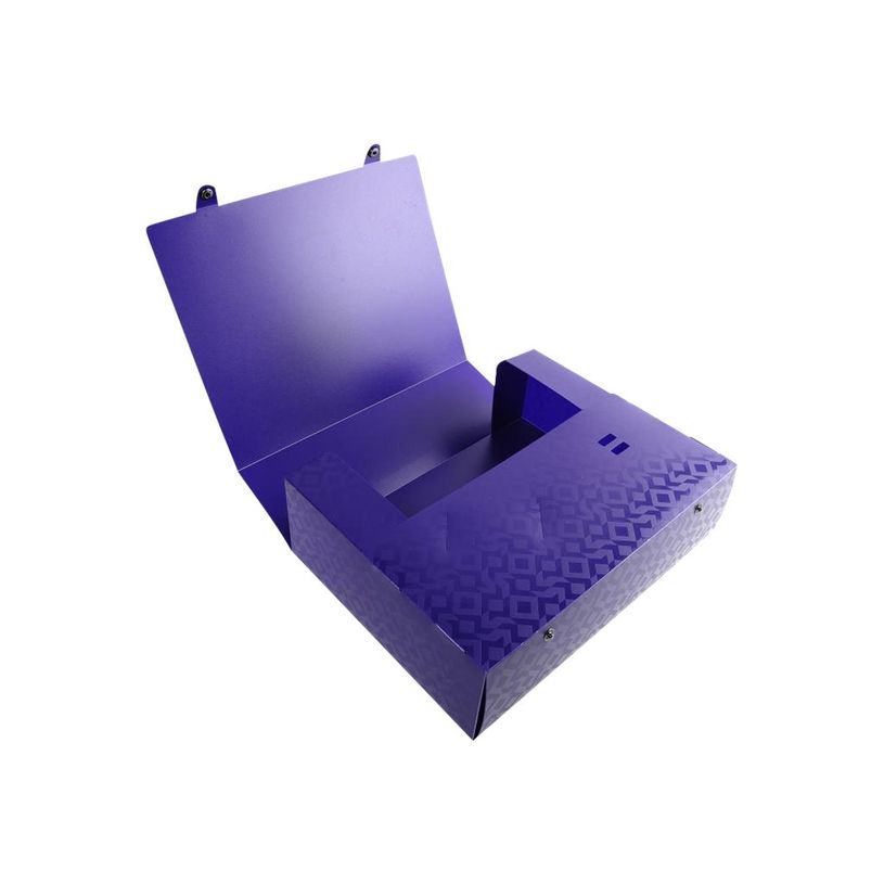 3130630598206-Exacompta OffiX - Boîte de classement bouton pression - dos 100 mm - disponible dans diff