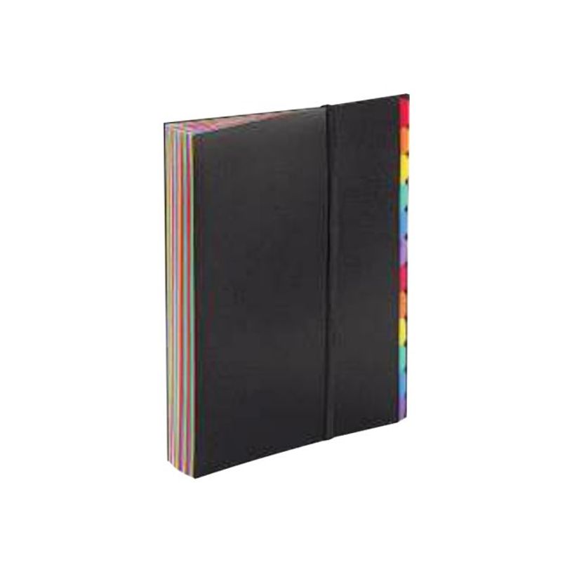 3135251118673-Viquel Rainbow Class - Trieur polypro 36 positions-P_79430069_3-2