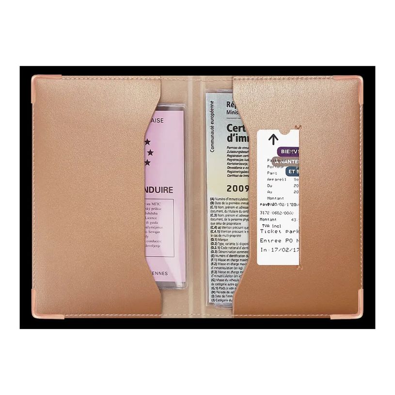 3700536113201-Color Pop - Porte papiers de voiture - disponible dans différentes couleurs métallisées-P_79430092_2-3
