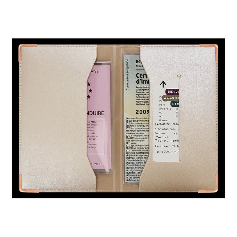3700536113201-Color Pop - Porte papiers de voiture - disponible dans différentes couleurs métallisées-P_79430092_4-4