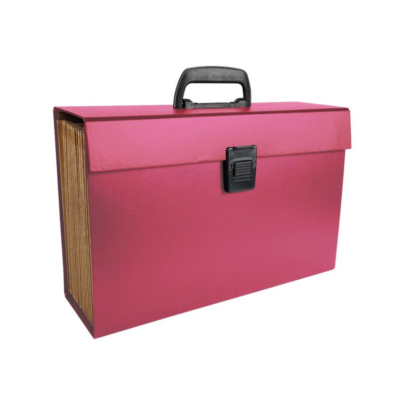 3130630584209-Exacompta - Valisette Trieur 20 compartiments - A4 Maxi - pour 1000 feuilles - disponible e-P_79430106_3-2