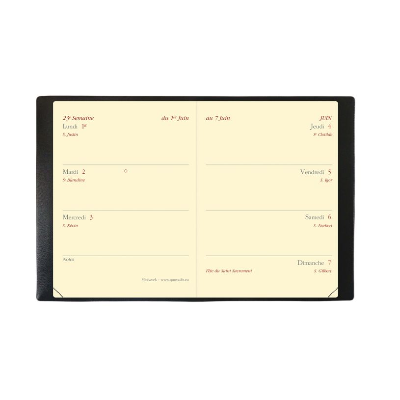 3371010389674-Agenda de poche Soho Miniweek - - 1 semaine sur 2 pages - 7 x 10 cm - kaki - Quo Vadis-P_79430850_2-1