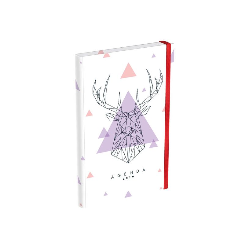 3147280087561-Agenda Graphics LECAS - 16 Mois - 16x24 cm - 4 décors - Hamelin-P_79431256_1-1