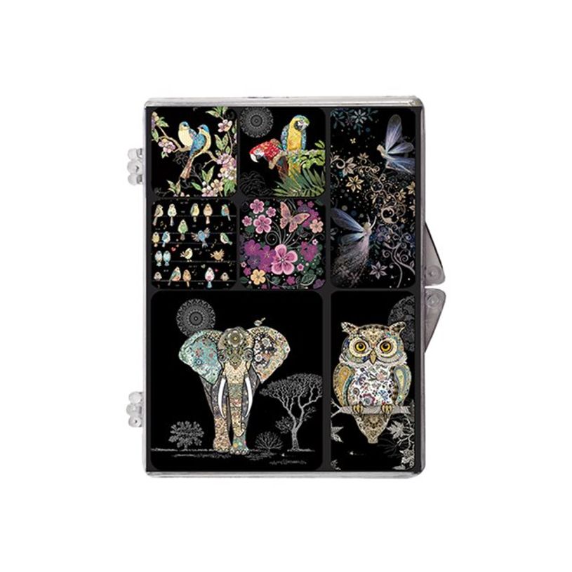 3700572715735-Kiub Bug Art - Boite Magnets Epoxy - Visuels divers oiseaux-P_79431372_1-0