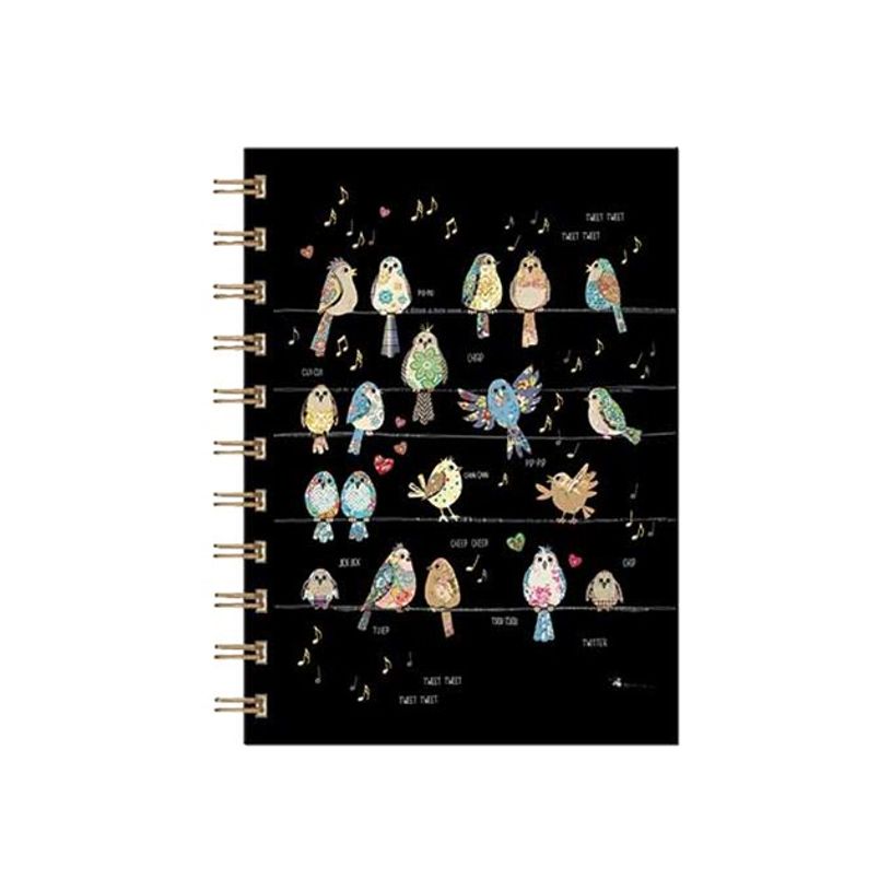 3700572716411-Kiub Bug Art - Carnet de notes à spirale A6 - 160 pages - Oiseaux-P_79431400_1-0