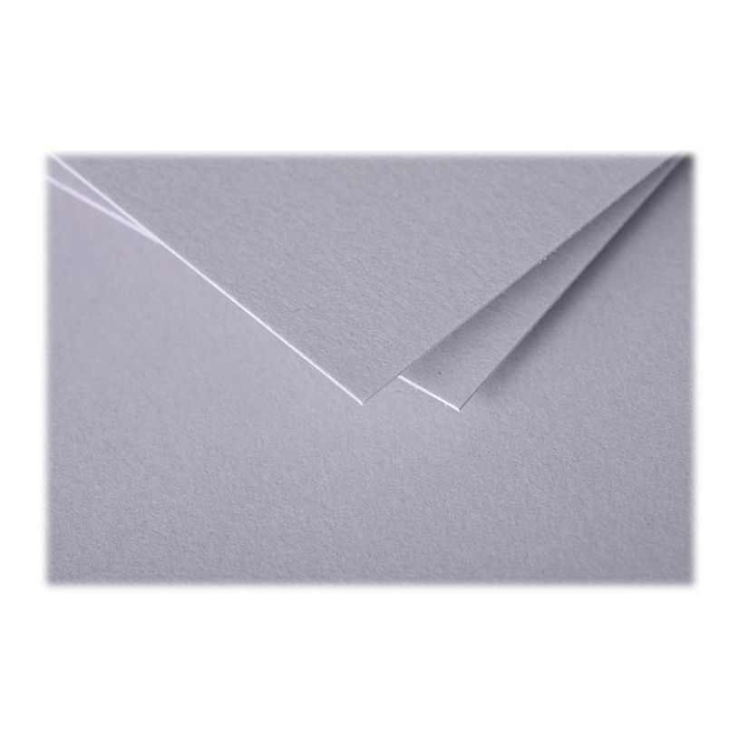 3329680015324-Pollen - 25 Cartes - 106 x 213 mm - 210 g/m² - gris-P_79431435_2-1