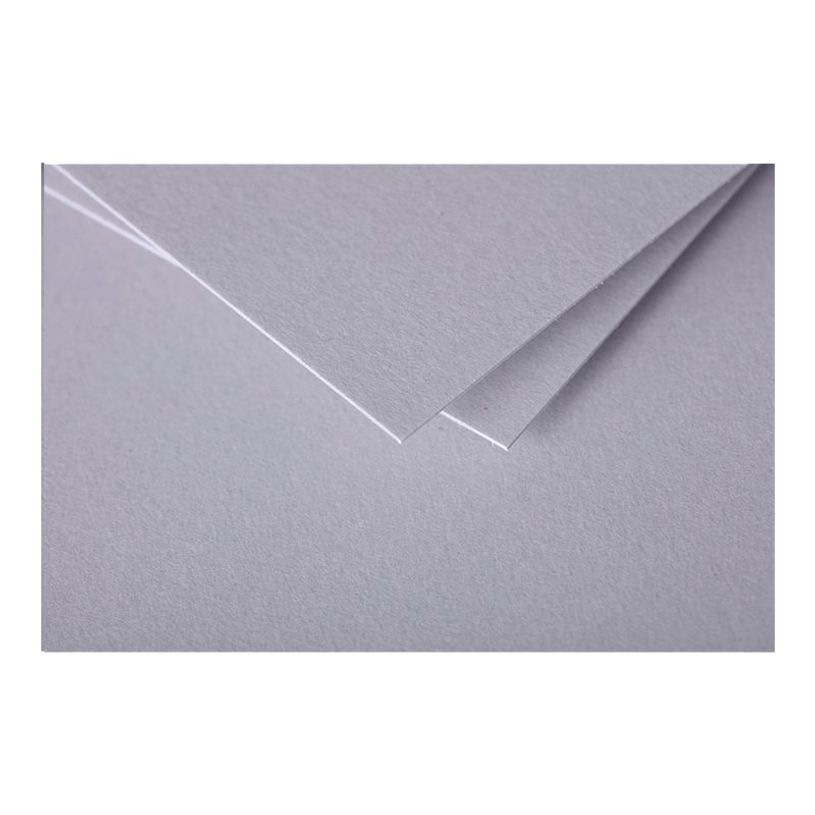 3329680113327-Pollen - 25 Cartes - 110 x 155 mm - 210g/m² - gris-P_79431440_2-1