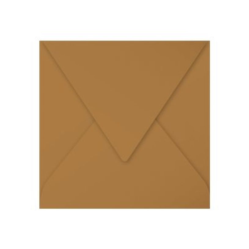 3329680290035-Pollen - 20 Enveloppes gommées - 165 x 165 mm - 120 g/m² - kraft-P_79431449_2-1