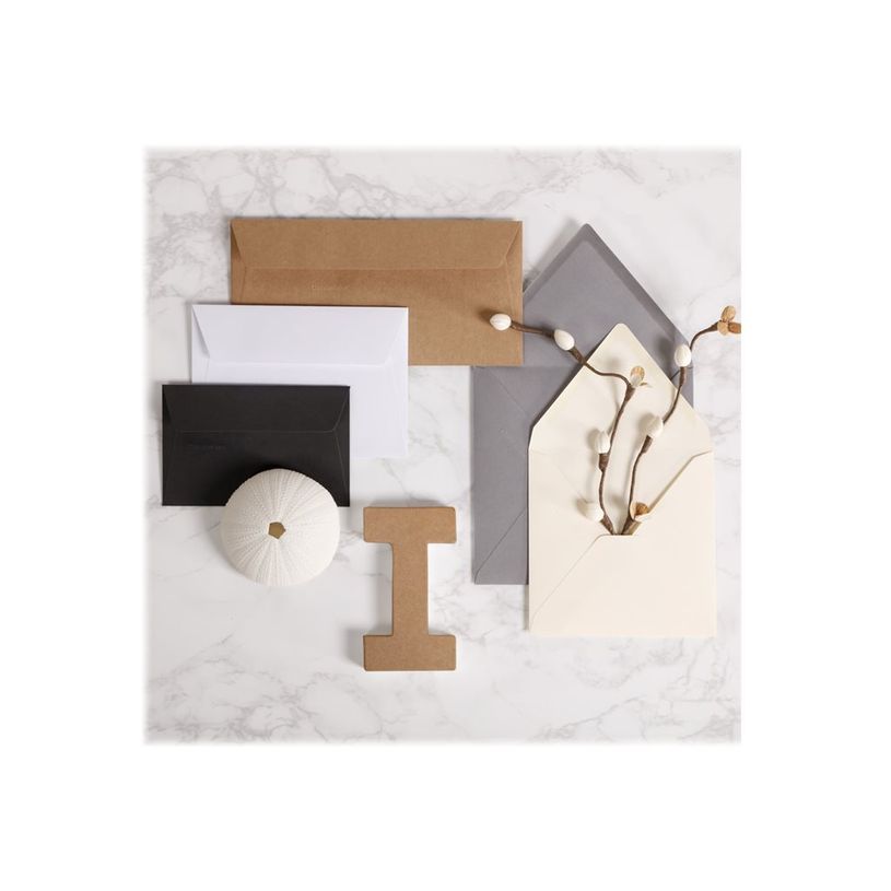 3329680290059-Pollen - 20 Enveloppes - 110 x 220 mm - 135 g/m² - kraft-P_79431450_1-2