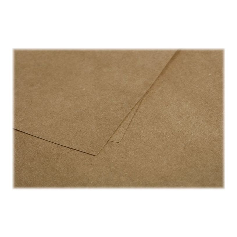 3329680290059-Pollen - 20 Enveloppes - 110 x 220 mm - 135 g/m² - kraft-P_79431450_4-1