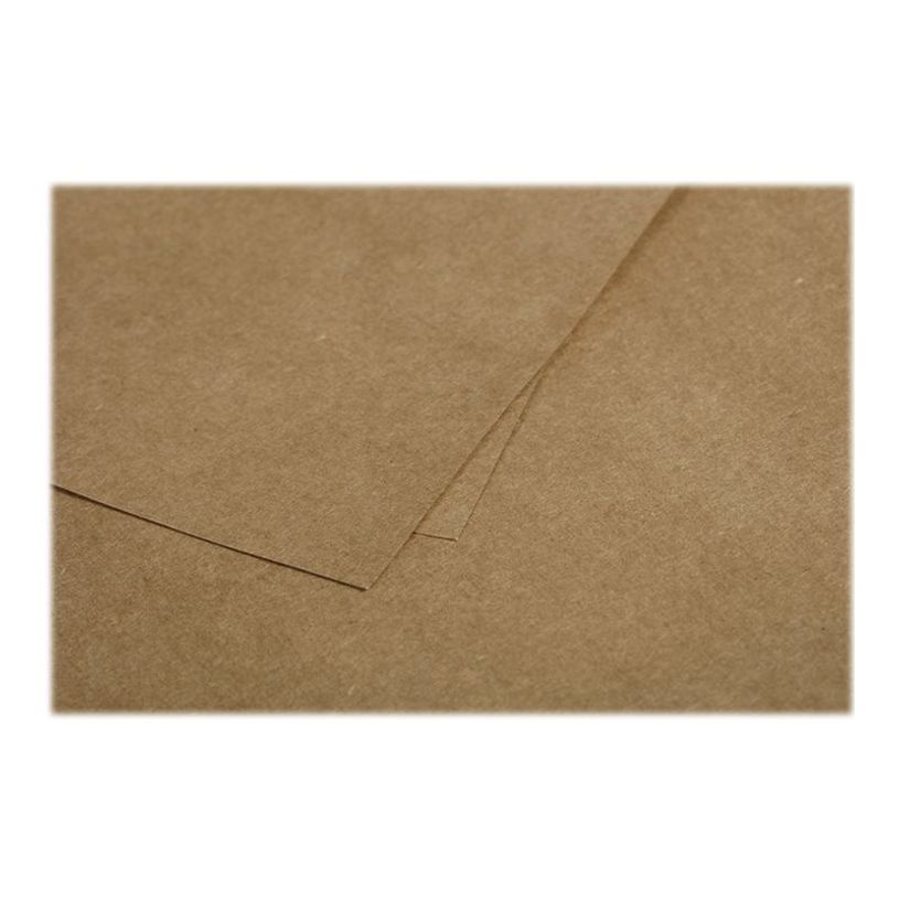 3329680290066-Pollen - 20 Enveloppes - 114 x 162 mm - 135 g/m² - kraft-P_79431451_3-1
