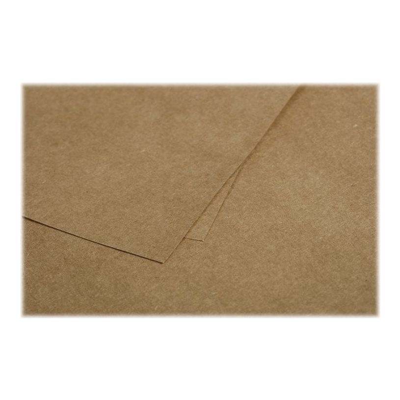 3329680290103-Pollen - 50 Cartes - 70 x 95 mm - 200 g/m² - kraft-P_79431453_3-2