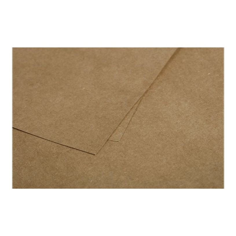 3329680290127-Pollen - 25 Cartes - 160 x 160 mm - 200g/m² - kraft-P_79431455_2-1