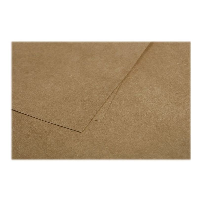 3329680290158-Pollen - 25 Cartes - 106 x 213 mm - 200 g/m² - kraft-P_79431456_2-1