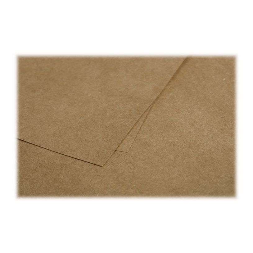 3329680290189-Pollen - 25 Cartes - 135 x 135 mm - 200 g/m² - kraft-P_79431458_3-2