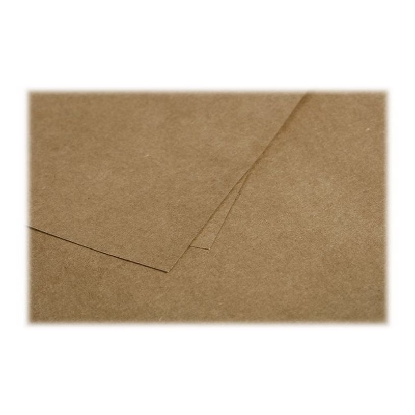 3329680290226-Pollen - 25 Cartes doubles - 160 x 160 mm - 200 g/m² - kraft-P_79431459_3-2