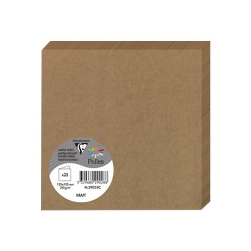 3329680290288-Pollen - 25 Cartes doubles - 135 x 135 mm - 200 g/m² - kraft-P_79431461_1-0