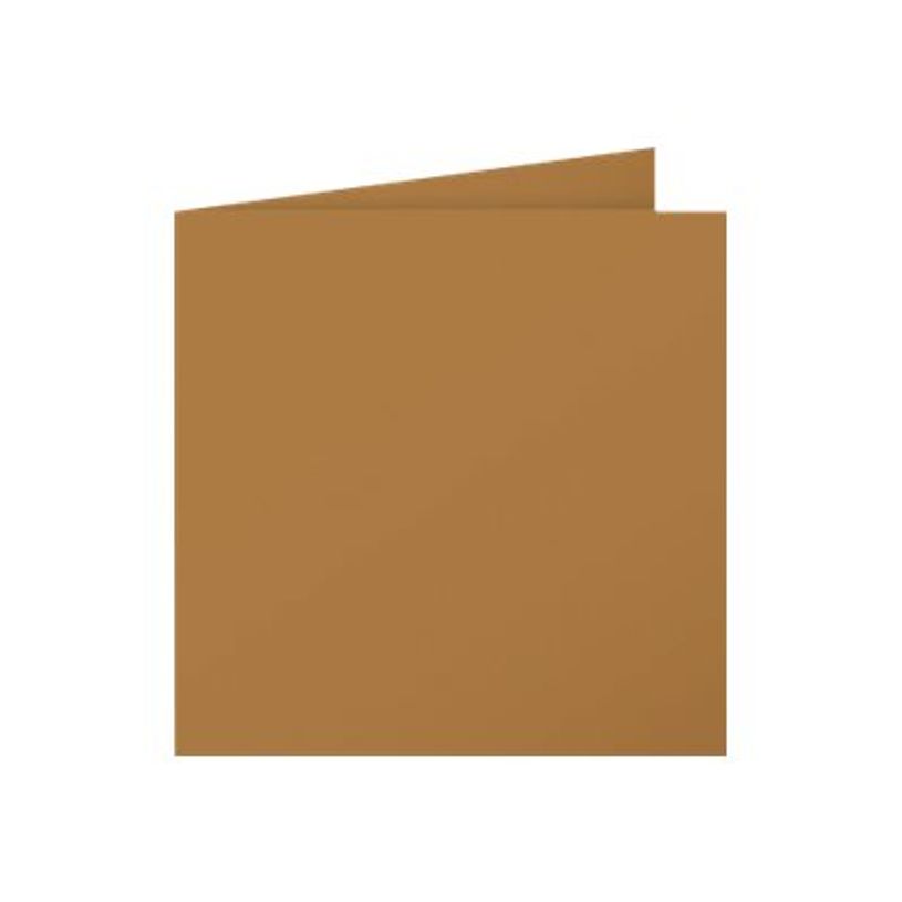 3329680290288-Pollen - 25 Cartes doubles - 135 x 135 mm - 200 g/m² - kraft-P_79431461_2-1