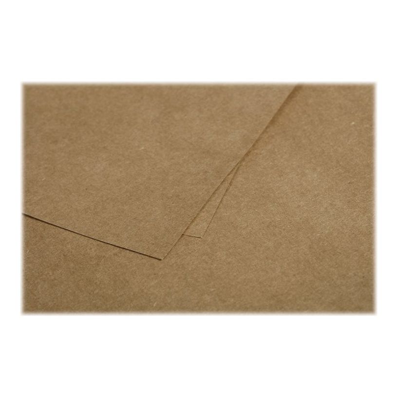 3329680291353-Pollen - 50 Feuilles papier couleur - A4 (21 x 29,7 cm) - 135 g/m² - kraft-P_79431462_2-1