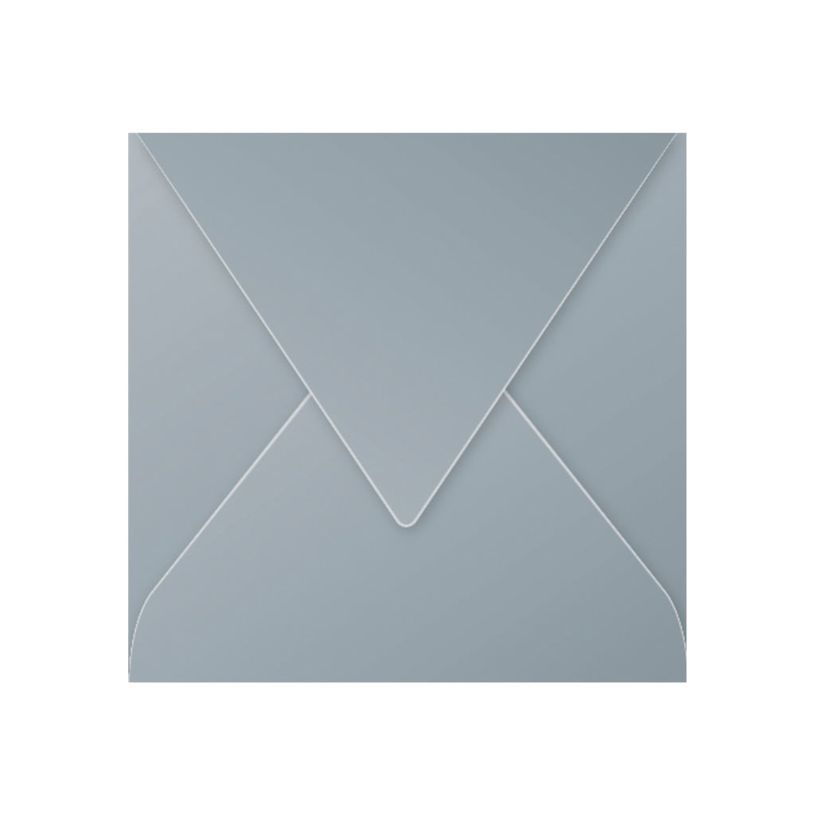3329680500738-Pollen - 20 Enveloppes gommées - 165 x 165 mm - 120 g/m² - argent-P_79431465_1-0