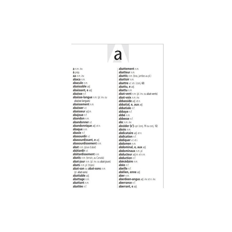 9782035938763-Larousse Dictionnaire L'Anti-fautes d'orthographe-P_79431965_4-3