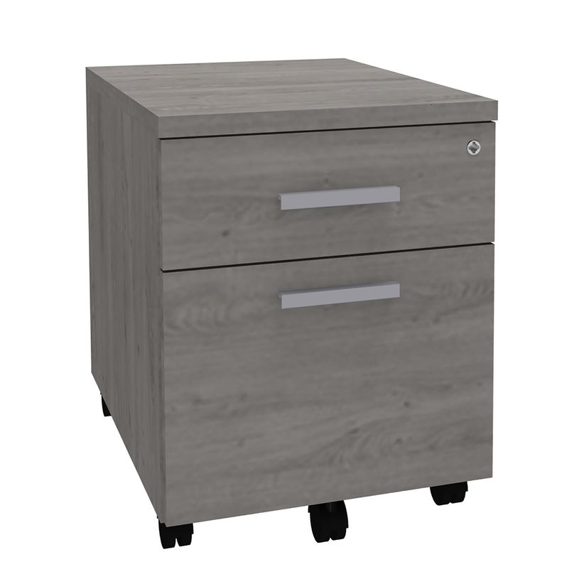 3253310163478-Caisson mobile LEVEL/STEELY/WOODY - L43 x H56 x P60 cm - 2 tiroirs dont 1 DS - Imitation Chêne gris--0