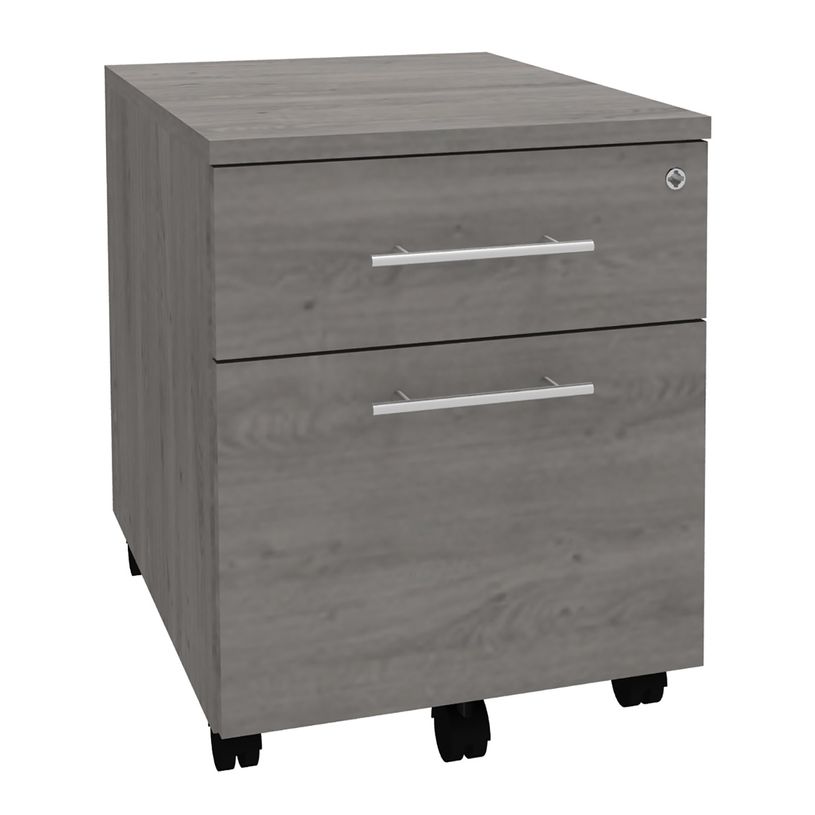 3253310163478-Caisson mobile LEVEL/STEELY/WOODY - L43 x H56 x P60 cm - 2 tiroirs dont 1 DS - Imitation Ch-P_79432628_1-0