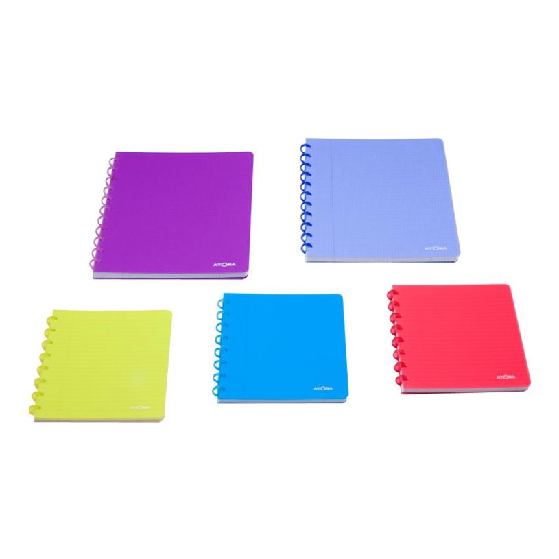 400794336208-ATOMA - cahier-P_79433620_6-5