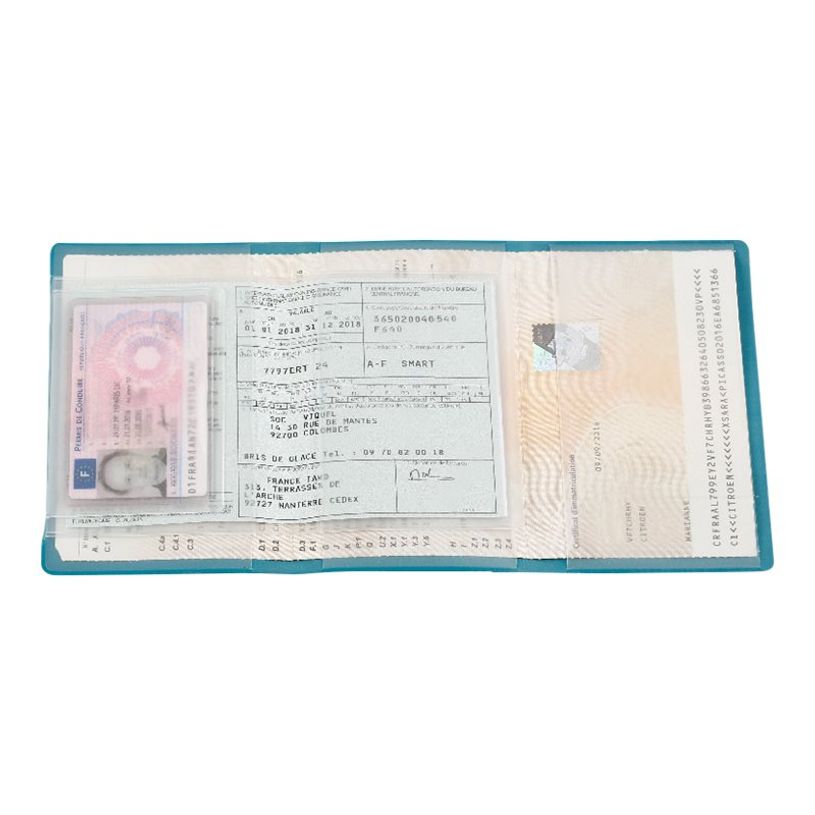 3135254598328-Viquel Bon Voyage - Etui de protection pour papiers de voiture - disponible dans différent-P_79434131_1-6