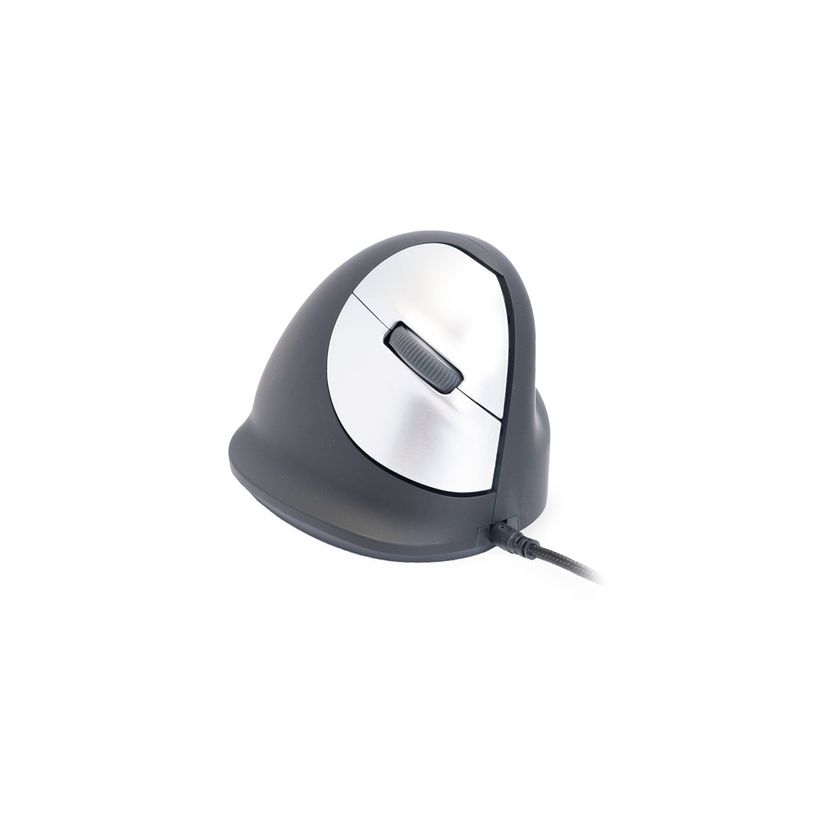 6956993300013-R-Go Tools - souris filaire ergonomique pour droitier - noir et argent-P_79434665_38-5