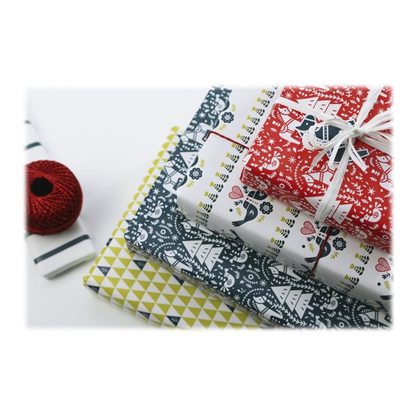 3329682019368-Clairefontaine Excellia - Papier cadeau - 70 cm x 2 m - 80 g/m² - différents motifs flora-P_79434699_3-2