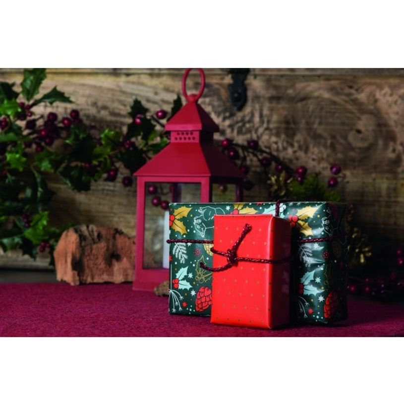 3329682018385-Clairefontaine - Papier cadeau - 70 cm x 2 m - 60 g/m² - motif Noël-P_79434825_2-1
