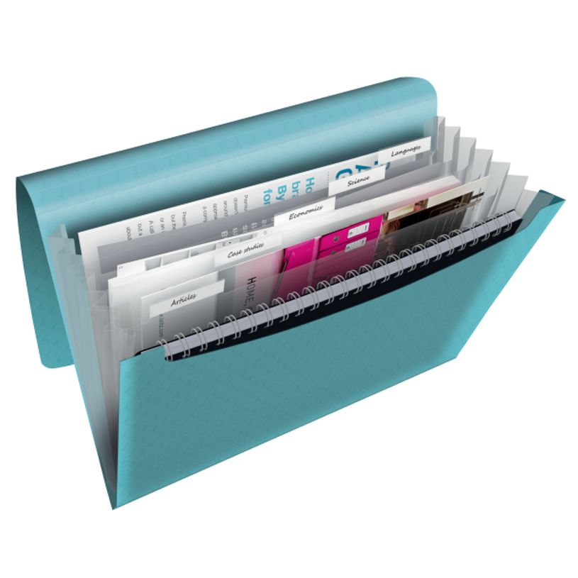 4049793053066-Esselte Colour'Breeze - Classeur ménager (valisette trieur) - 6 compartiments - bleu-P_79434850_3-1