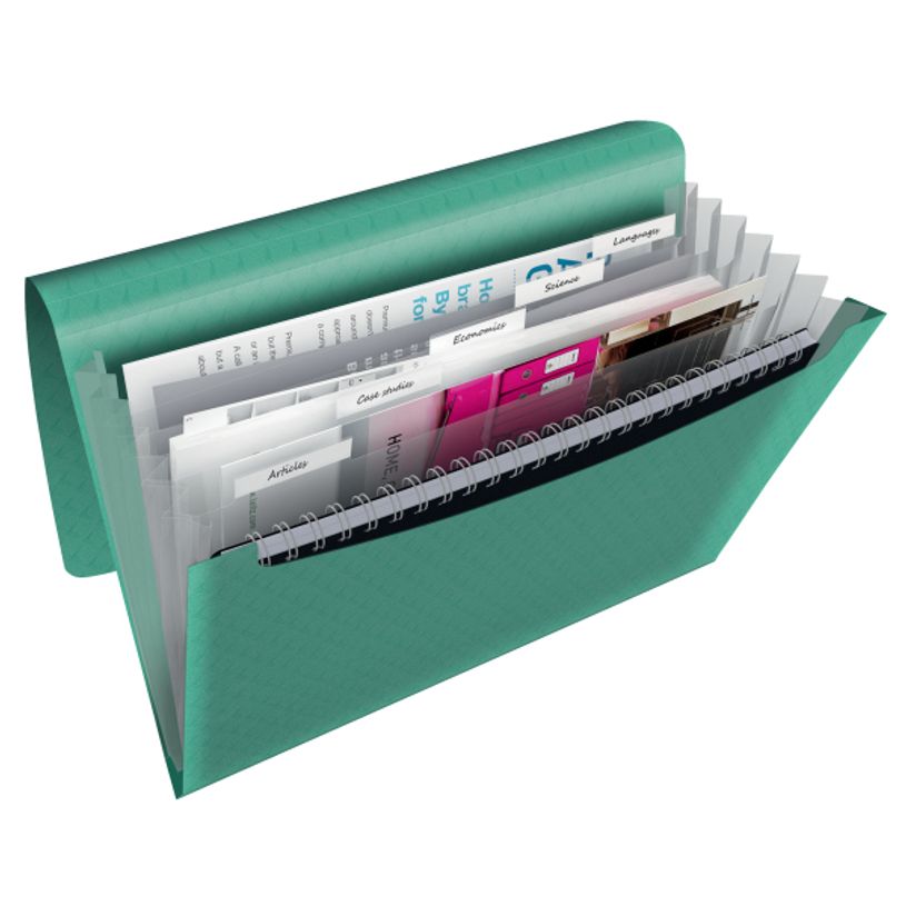 4049793053073-Esselte Colour'Breeze - Classeur ménager (valisette trieur) - 6 compartiments - vert-P_79434851_3-1
