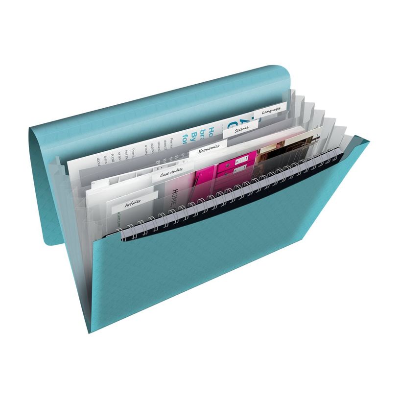 4049793053080-Esselte Colour'Ice - trieur-P_79434852_2-2