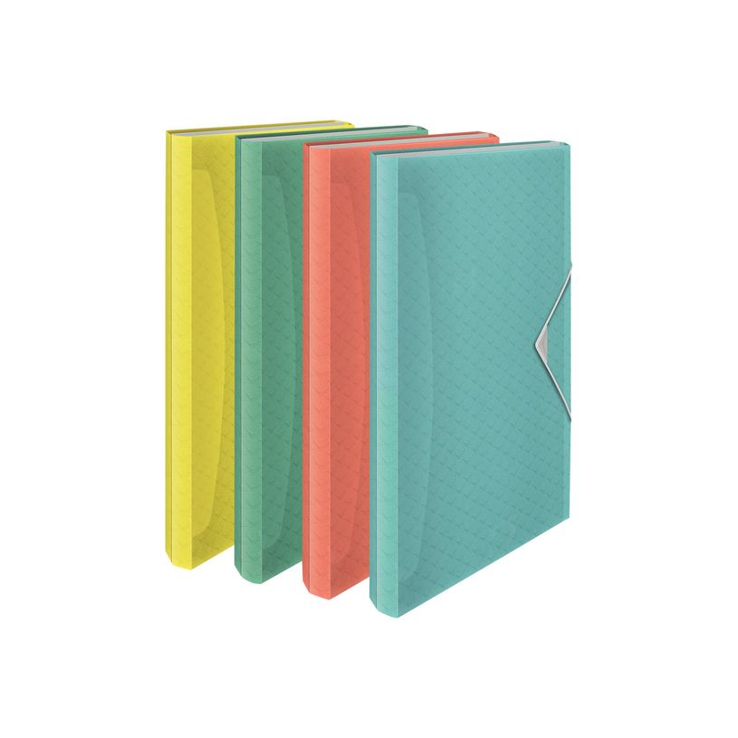 4049793053080-Esselte Colour'Ice - trieur-P_79434852_3-0