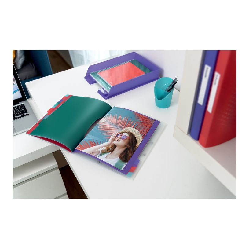 4049793053103-Esselte Colour'Breeze - Trieur - PP - 12 positions - multicolore-P_79434854_7-11