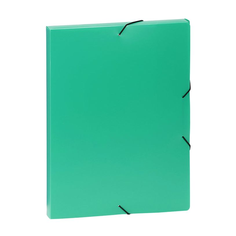 3135250213034-Viquel - Boîte de classement plastique - dos 30 mm - vert-P_79435024_1-0
